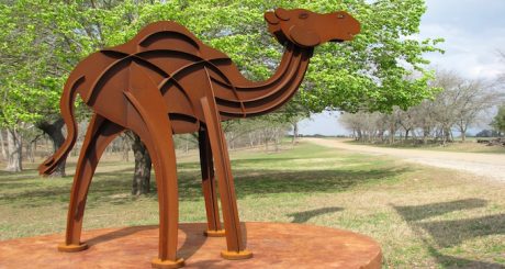 camelsculp